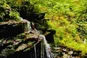 The Birks of Aberfeldy